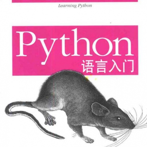 Python PDF